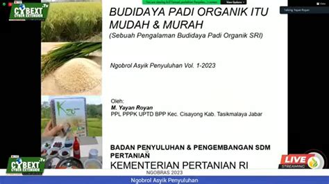 Kementan Sosialisasikan Budidaya Padi Organik Yang Mudah Dan Murah