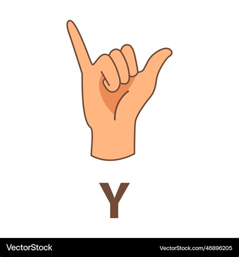 Hand Showing Letter Y Sign Language Alphabet Vector Image