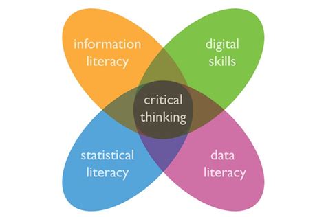 Module 1 Information Data Literacy Developing Digital Data Literacy