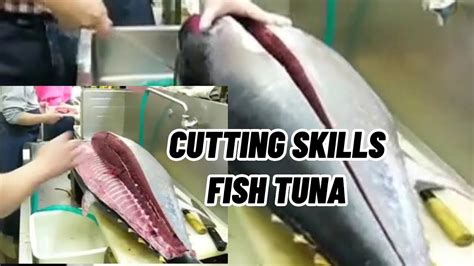 Cutting Skills Bluefin Tunasushi Tuna Youtube