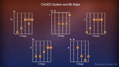 Bb Chord Guitar - Finger Positions, How-to, Variations - Beginner Guitar HQ