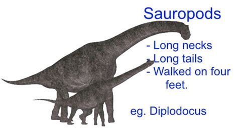 Dinosaur Classification for Kids