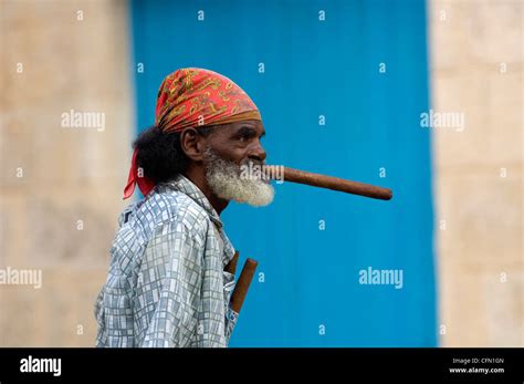 cigar aficionado  res stock photography  images alamy