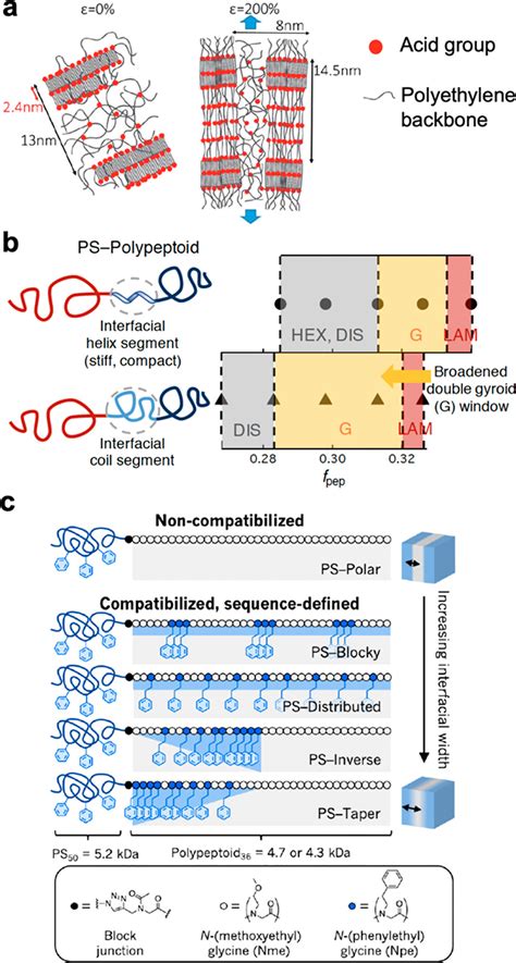 Where Biology And Traditional Polymers Meet The Potential Of