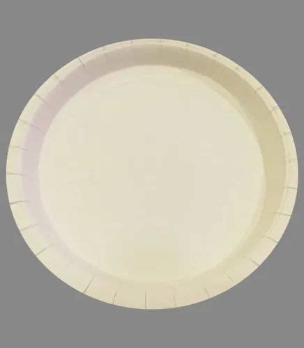 White Circular Inch Disposable Paper Plate For Event And Party