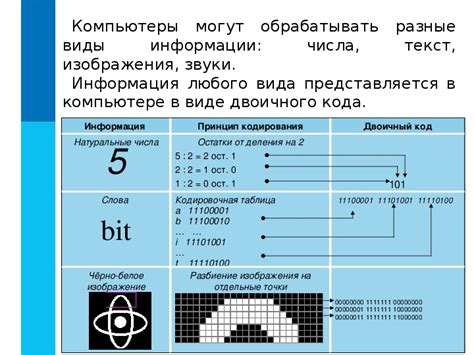 Основные компоненты компьютера и их функции