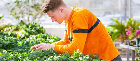 Pg Diploma In Horticulture In Canada Collegelearners