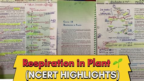 Respiration In Plant 🌱 For Neet Ncert Highlights Biology 🧬 Class