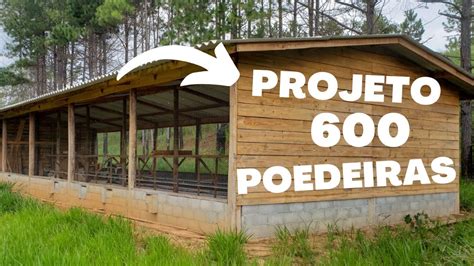 PROJETO 600 galinhas poedeiras construção do galpão YouTube