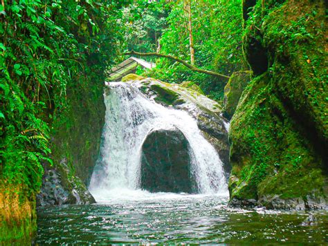 Mindoxtrem Birds Waterfalls Sanctuary In Mindo Ecuador