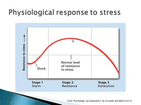 Hans Selye Stress Stages