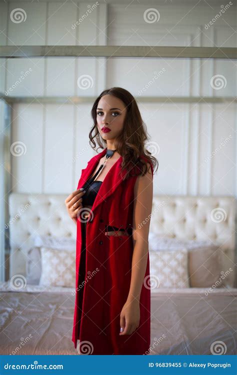 Fashion Model Stock Image Image Of Brunette Elegant