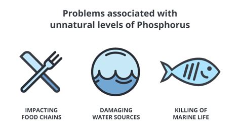 Spotlight on Preventable Phosphorus Pollution | by Everglades ... 