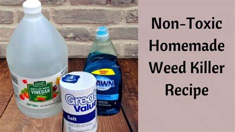 Natural Weed Killer With Vinegar And Dawn Kill Weeds Not Grass How To