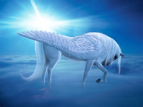 Pegasus the Winged Horse ~ A Pegasus Rp ~ New!!!