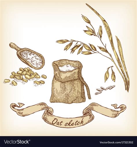 Овес раскраска (Много фото!) - drawpics.ru