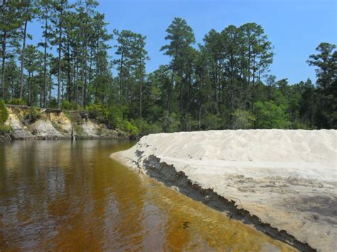 Camp Lowry:That's How We Roll: Kayaking on the Blackwater River