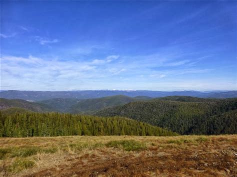 The North Idaho Front Porch Hayden Lodge Forest Heat Id Page