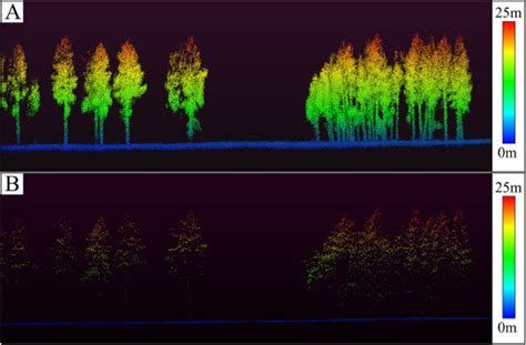 Comparison of mobile lidar scanner (MLS) point cloud data (A) and ...