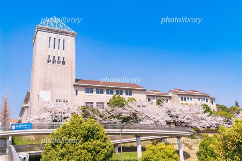 首都大学東京 南大沢キャンパス 写真素材 4997767 フォトライブラリー Photolibrary