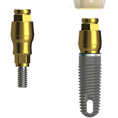 Titanium Implant Abutment ORBIT Zimmer BIONICA Internal