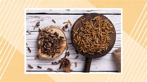 Is Eating Bugs Healthy? - Edible Insects News