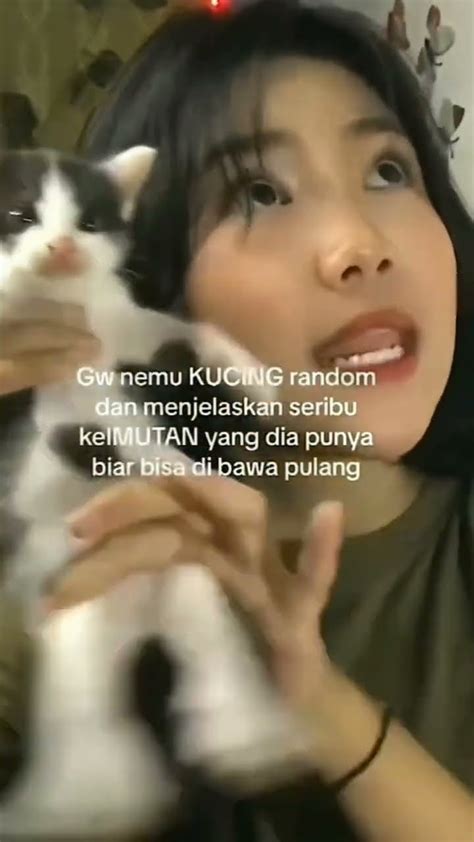 fypシ cat nyolong ig YouTube