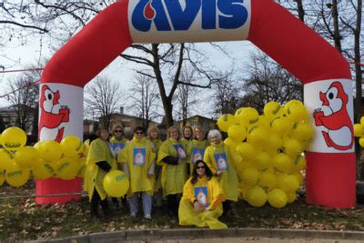 Novi Carnevale AVIS Provinciale Modena