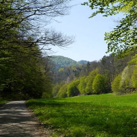 Wandern Pf Lzer Rundwanderung Mit Einkehr Cramerhaus Tour