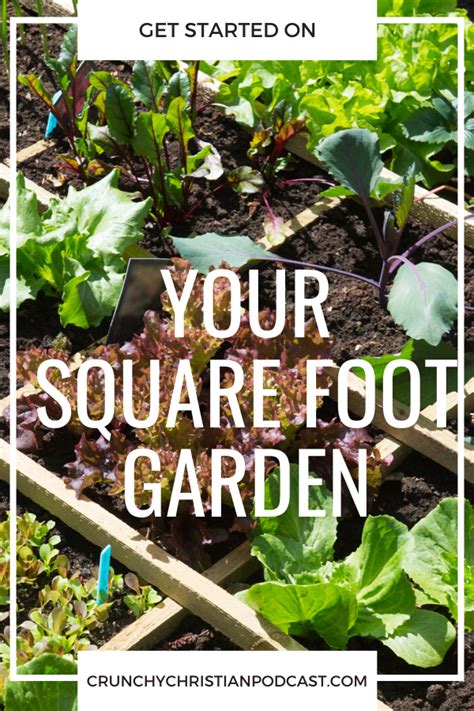 Get Started On Square Foot Gardening Thrivecast