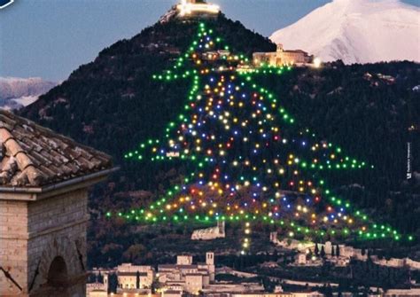 Gubbio L Albero Di Natale Pi Grande Del Mondo Questanno Green