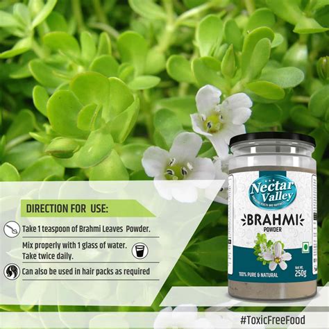 Buy NECTAR VALLEY BRAHMI BACOPA MONNIERI POWDER 100 PURE NATURAL