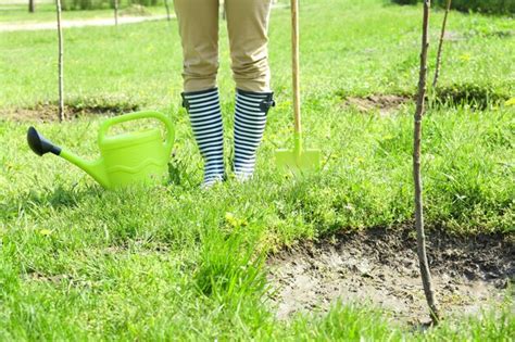 Premium Photo Gardener Planting Tree In Spring