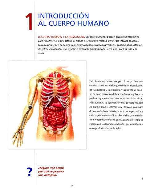 Solution Intro Al Cuerpo Humano Studypool