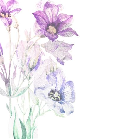 Bloemenkaart Paars Boeket Aquarel Wenskaarten Kaartje Go