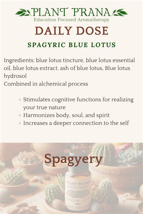 The Benefits Of Spagyric Blue Lotus Plant Prana Essential Oils