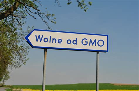 Wolne Od Gmo Nowe Przepisy W Znakowaniu Ywno Ci Okiemrolnika Pl