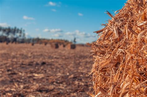 Premium Photo Beautiful Countryside Landscape Round Straw Bales In