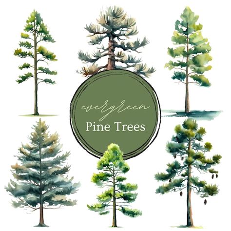 Pine Tree Art Etsy