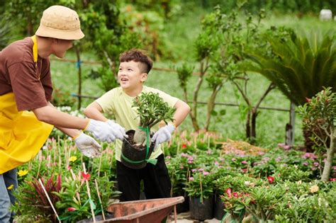 Plantes fruits et légumes les incontournables à planter au mois de juin