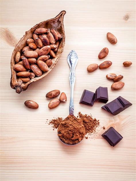 Cocoa beans and chocolate 2037709 Stock Photo at Vecteezy