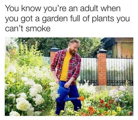 Patrick Noll on Instagram: “#memes #meme #plantmemes #gardenmemes #gardening #garden #plant # ...