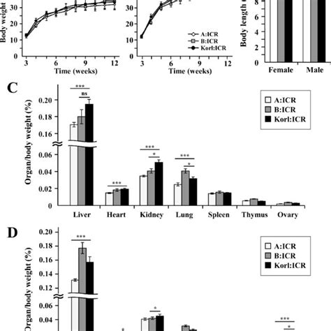 Physiological Characteristics Of Korlicr Mice A Body Weights Of Icr