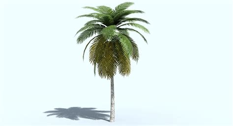 ArtStation - Palm Tree 3D model | Game Assets