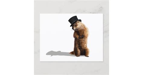 Groundhog Seeing Shadow Postcard | Zazzle