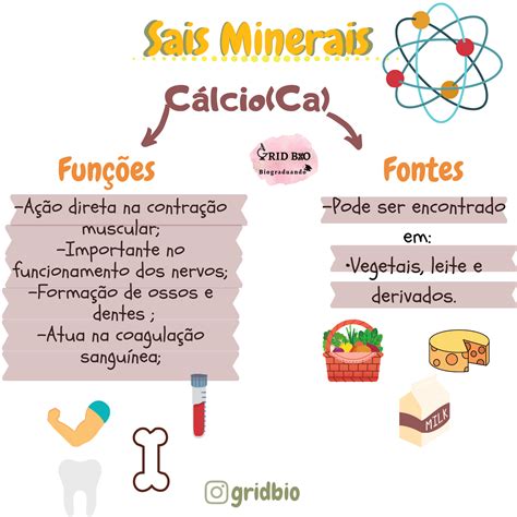 Mapa Mental Sobre Os Sais Minerais Mapas Mentais Bioquimica Aula De