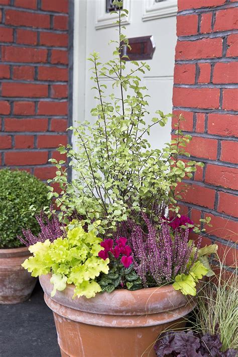 A Potted Planter Filled With Lots Of Flowers Next To A Brick Wall And Door