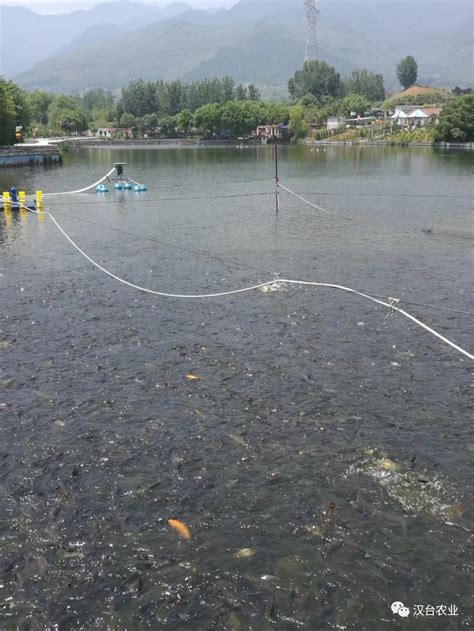 汉台：成功创建国家级水产健康养殖和生态养殖示范区 汉中市农业农村局