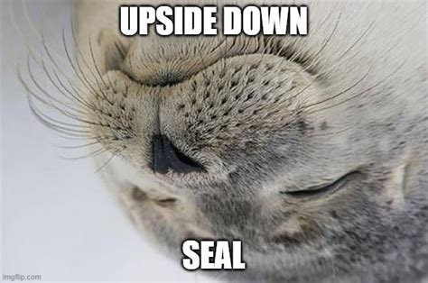 Upside Down Seal Imgflip