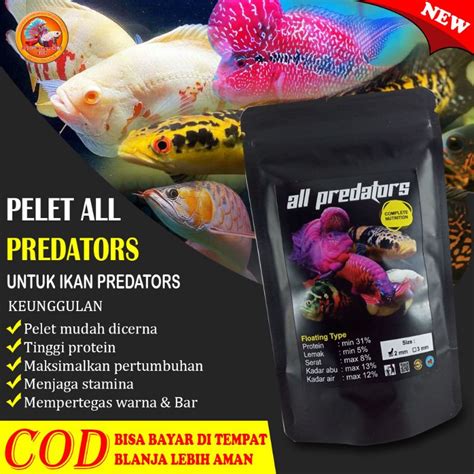 Jual Pelet Pakan Ikan Predators Chana Oscar Louhan Arwana Dll